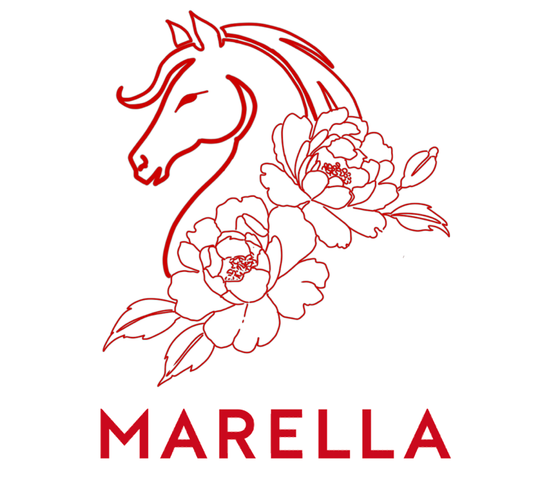 MARELLA 2026新春系列  舞马新春，驭火承光
